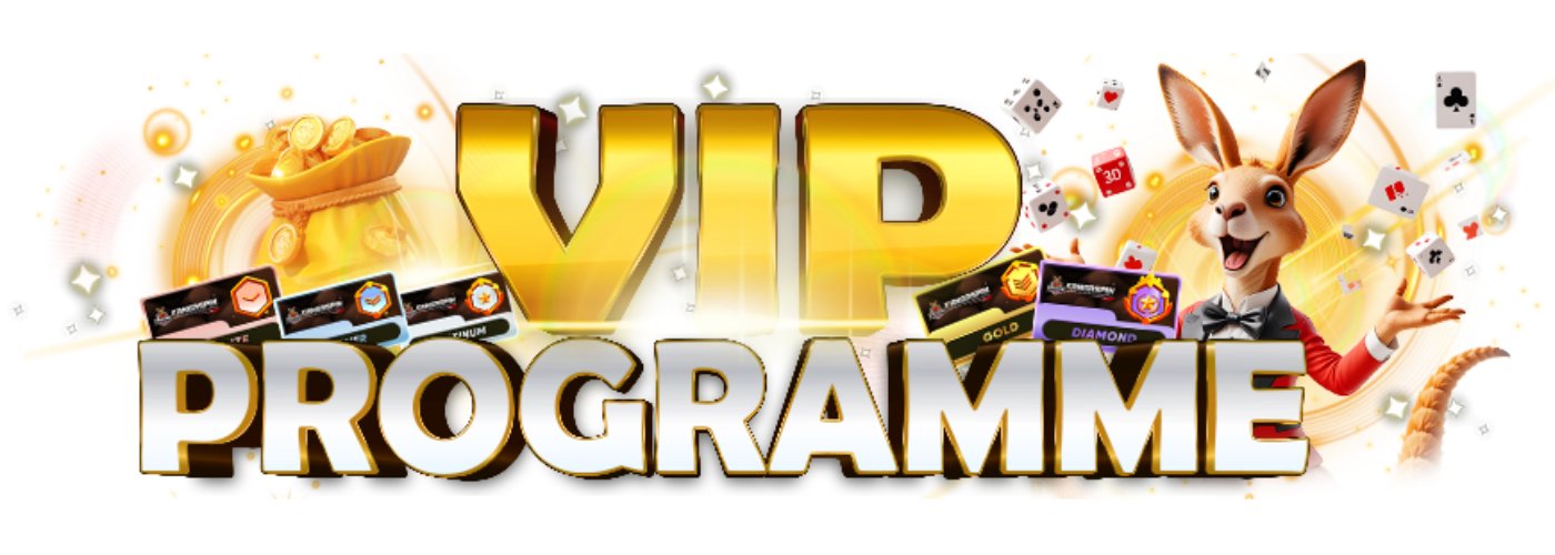 VIP Program Model Image